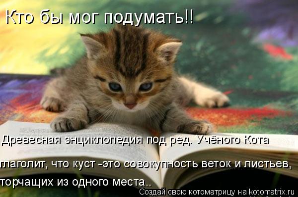 Древесная энциклопедия под ред. Учёного Кота глаголит, что куст -это совокупность веток и листьев, т... Котоматрица: Древесная энциклопедия под ред. Учёного Кота глаголит, что куст -это совокупность веток и листьев, торчащих из одного места.. Кто бы мог под