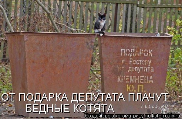 ОТ ПОДАРКА ДЕПУТАТА ПЛАЧУТ БЕДНЫЕ КОТЯТА... Котоматрица: ОТ ПОДАРКА ДЕПУТАТА ПЛАЧУТ БЕДНЫЕ КОТЯТА