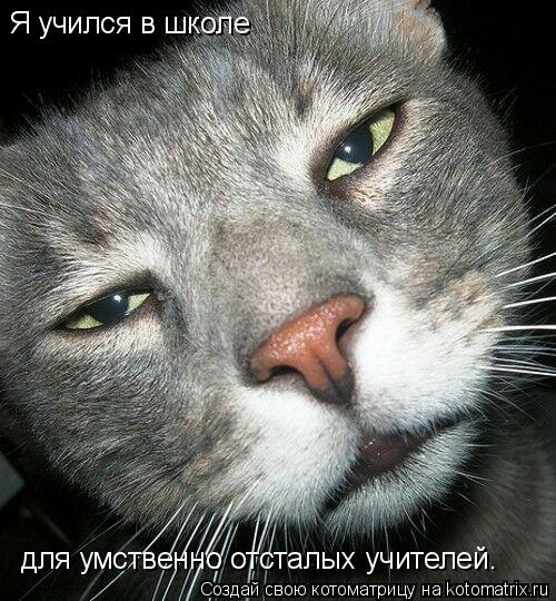 Котоматрица: Я учился в школе  для умственно отсталых учителей.