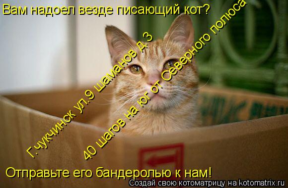 Вам надоел везде писающий кот? Отправьте его бандеролью к нам! Г.чукчинск ул.9 шаманов д.3 40 шагов н... Котоматрица: Вам надоел везде писающий кот? Отправьте его бандеролью к нам! Г.чукчинск ул.9 шаманов д.3 40 шагов на юг от Северного полюса