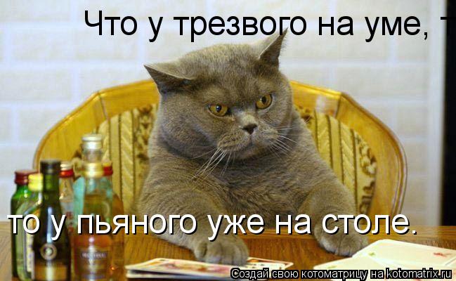 Что у трезвого на уме, то у пьяного уже на столе. то у пьяного уже на столе.... Котоматрица: Что у трезвого на уме, то у пьяного уже на столе. то у пьяного уже на столе.