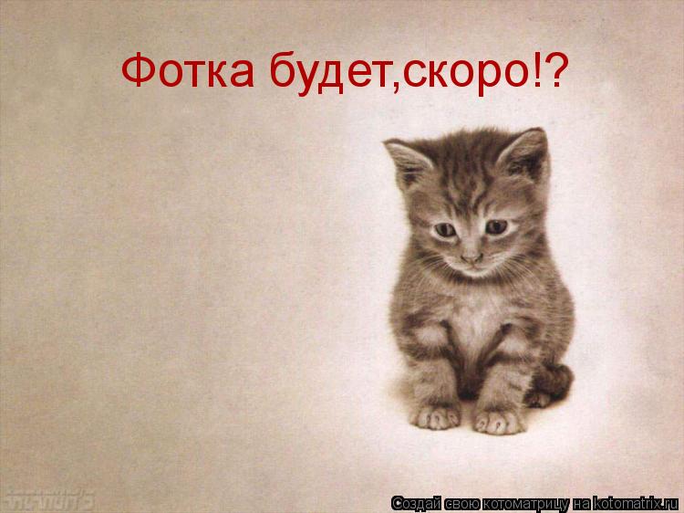 Котоматрица: Фотка будет,скоро!?
