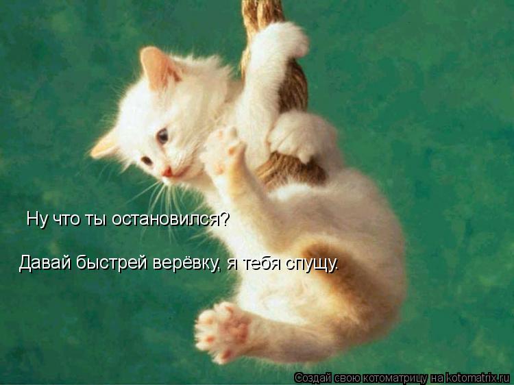 Ну что ты остановился? Давай быстрей верёвку, я тебя спущу.... Котоматрица: Ну что ты остановился? Давай быстрей верёвку, я тебя спущу.