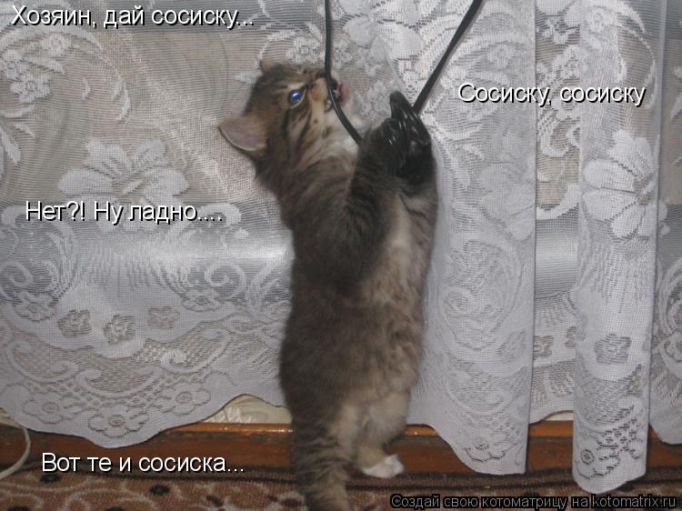 Котоматрица: Хозяин, дай сосиску... Сосиску, сосиску Нет?! Ну ладно.... Вот те и сосиска...