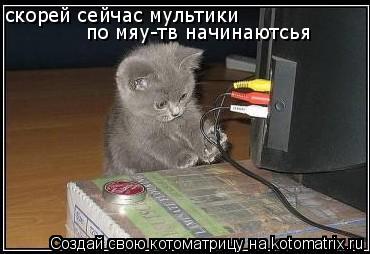 скорей сейчас мультики по мяу-тв начинаютсья по мяу-тв начинаютсья по мяу-тв начинаютсья... Котоматрица: скорей сейчас мультики по мяу-тв начинаютсья по мяу-тв начинаютсья по мяу-тв начинаютсья