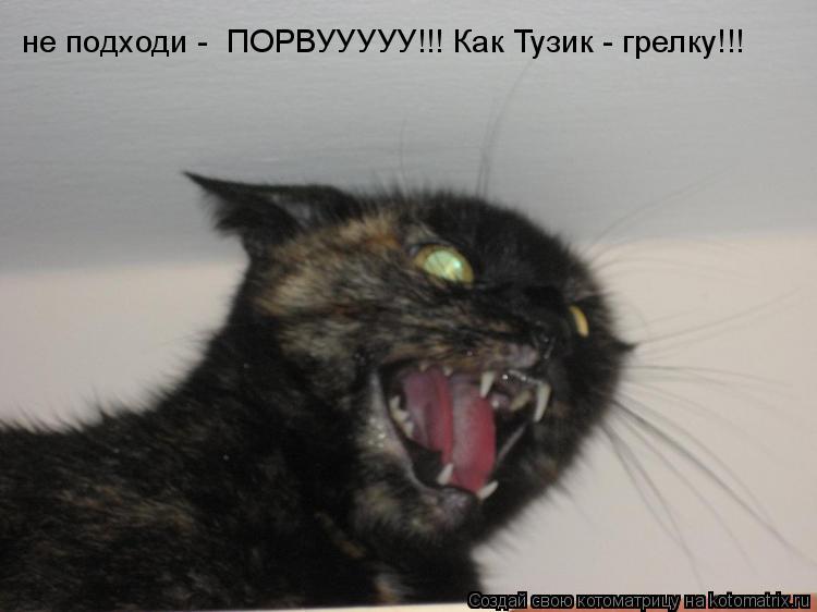 Котоматрица: не подходи -  ПОРВУУУУУ!!! Как Тузик - грелку!!!