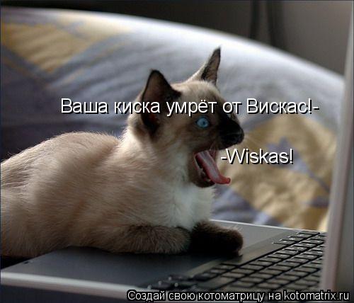 Котоматрица: -Wiskas! Ваша киска умрёт от Вискас!-