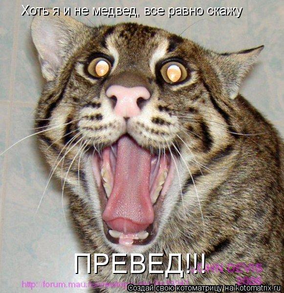 Хоть я и не медвед, все равно скажу ПРЕВЕД!!!... Котоматрица: Хоть я и не медвед, все равно скажу ПРЕВЕД!!!