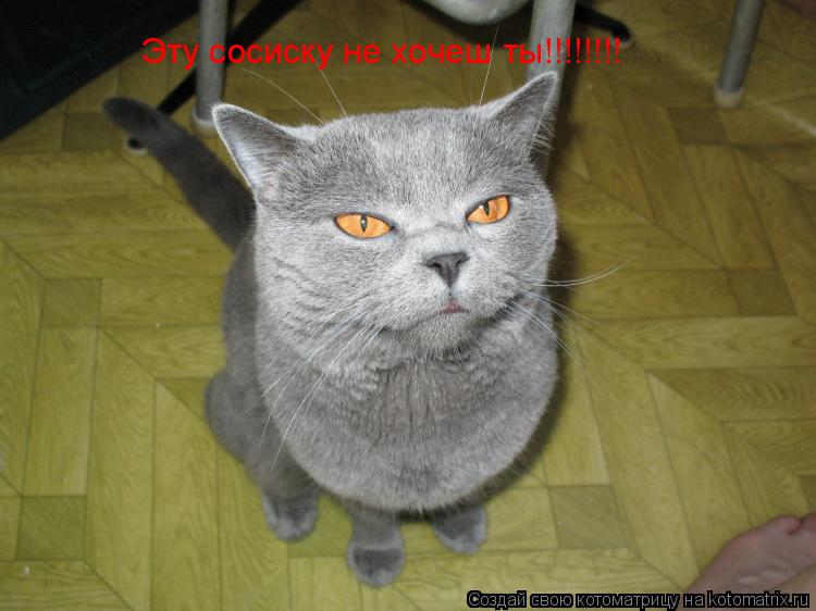 Эту сосиску не хочеш ты!!!!!!!!... Котоматрица: Эту сосиску не хочеш ты!!!!!!!!