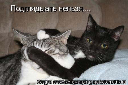 Котоматрица: Подглядыать нельзя....