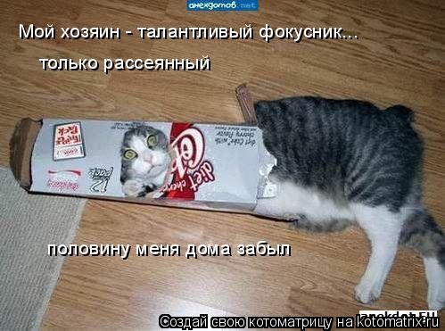 Мой хозяин - талантливый фокусник... только рассеянный половину меня дома забыл... Котоматрица: Мой хозяин - талантливый фокусник... только рассеянный половину меня дома забыл