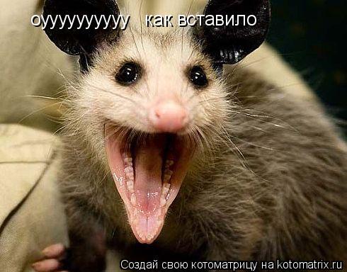 оуууууууууу как вставило... Котоматрица: оуууууууууу как вставило