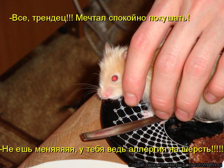 -Все, трендец!!! Мечтал спокойно покушать! -Не ешь меняяяяя, у тебя ведь аллергия на шерсть!!!!!... Котоматрица: -Все, трендец!!! Мечтал спокойно покушать! -Не ешь меняяяяя, у тебя ведь аллергия на шерсть!!!!!