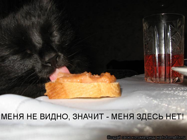 МЕНЯ НЕ ВИДНО, ЗНАЧИТ - МЕНЯ ЗДЕСЬ НЕТ!... Котоматрица: МЕНЯ НЕ ВИДНО, ЗНАЧИТ - МЕНЯ ЗДЕСЬ НЕТ!