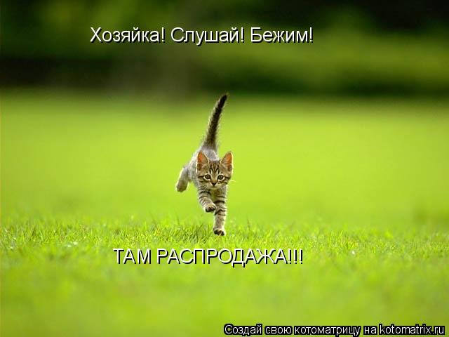 Хозяйка! Слушай! Бежим! ТАМ РАСПРОДАЖА!!!... Котоматрица: Хозяйка! Слушай! Бежим! ТАМ РАСПРОДАЖА!!!