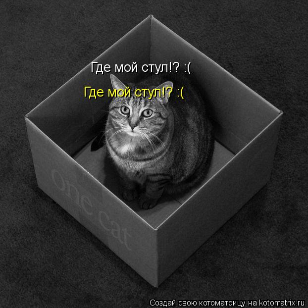 Котоматрица: Где мой стул!? :(  Где мой стул!? :(