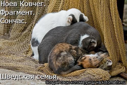 Котоматрица: Ноев Ковчег.  Фрагмент. Шведская семья. Сончас.