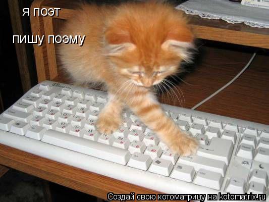 я поэт пишу поэму... Котоматрица: я поэт пишу поэму