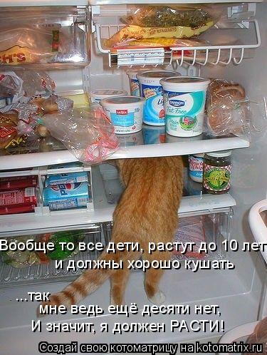 Вообще то все дети, растут до 10 лет и должны хорошо кушать ...так мне ведь ещё десяти нет, И значит,... Котоматрица: Вообще то все дети, растут до 10 лет и должны хорошо кушать ...так мне ведь ещё десяти нет, И значит, я должен РАСТИ!