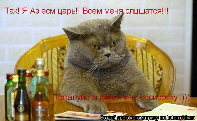 Котоматрица: Так! Я Аз есм царь!! Всем меня слцшатся!!!  Пожалуйста дайте мне сосисочку :)))