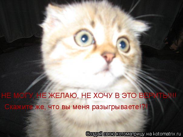 НЕ МОГУ, НЕ ЖЕЛАЮ, НЕ ХОЧУ В ЭТО ВЕРИТЬ!!!! Скажите же, что вы меня разыгрываете!?!... Котоматрица: НЕ МОГУ, НЕ ЖЕЛАЮ, НЕ ХОЧУ В ЭТО ВЕРИТЬ!!!! Скажите же, что вы меня разыгрываете!?!