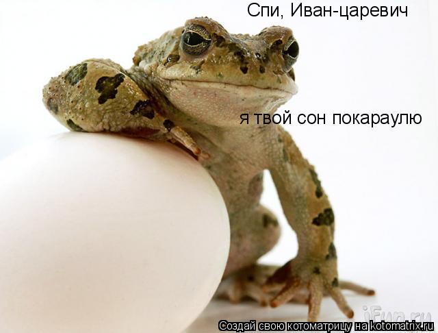 Спи, Иван-царевич я твой сон покараулю... Котоматрица: Спи, Иван-царевич я твой сон покараулю