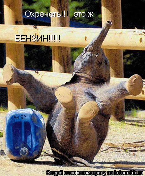 Котоматрица: Охренеть!!!    БЕНЗИН!!!!! Аи 92 это ж