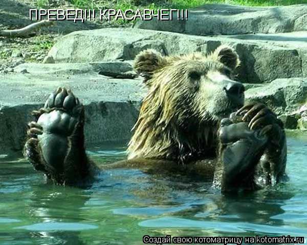 Котоматрица: ПРЕВЕД!!! КРАСАВЧЕГ!!!