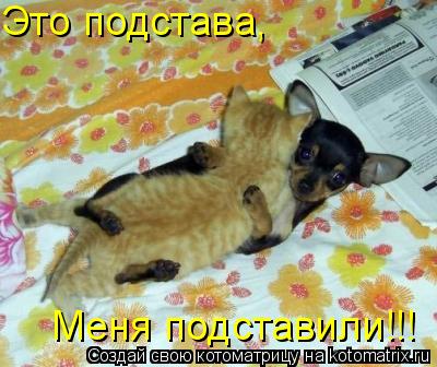 Это подстава, Меня подставили!!!... Котоматрица: Это подстава, Меня подставили!!!