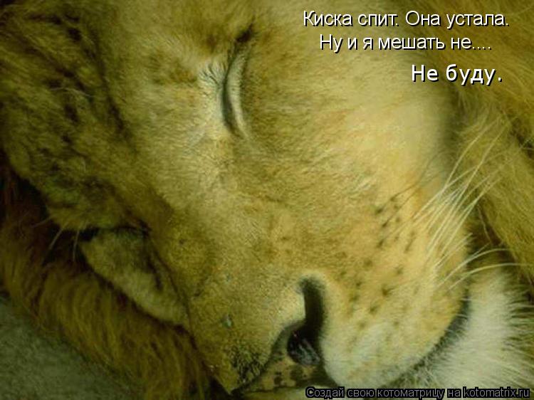 Котоматрица: Киска спит. Она устала. Ну и я мешать не.... Не буду.