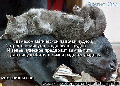 ... взмахом магической палочки чудной, Сотрет все минуты, когда было трудно. И зелье чудесное предлож... Котоматрица: ... взмахом магической палочки чудной, Сотрет все минуты, когда было трудно. И зелье чудесное предложит вам выпить, Дав силу любить, в жизни р