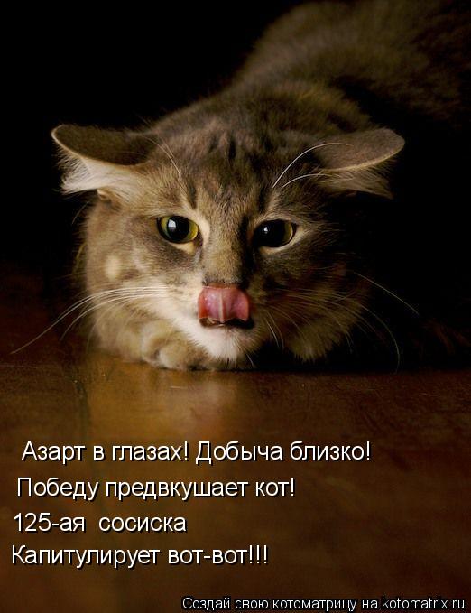 Азарт в глазах! Добыча близко! Победу предвкушает кот! 125-ая сосиска Капитулирует вот-вот!!!... Котоматрица: Азарт в глазах! Добыча близко! Победу предвкушает кот! 125-ая сосиска Капитулирует вот-вот!!!
