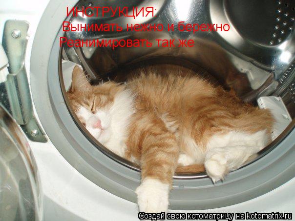 ИНСТРУКЦИЯ: Вынимать нежно и бережно Реанимировать так же... Котоматрица: ИНСТРУКЦИЯ: Вынимать нежно и бережно Реанимировать так же