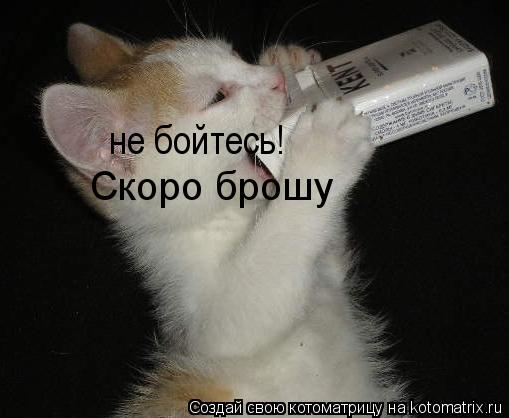 Котоматрица: не бойтесь! Скоро брошу