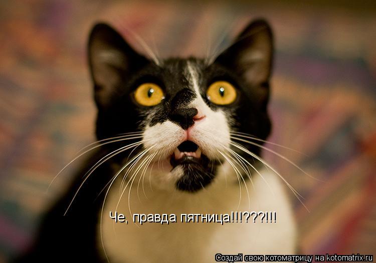Открытки уже пятница Открытки уже пятница