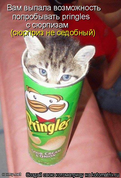 Вам выпала возможность попробывать pringles с сюрпизам (сюрприз не седобный)... Котоматрица: Вам выпала возможность попробывать pringles с сюрпизам (сюрприз не седобный)