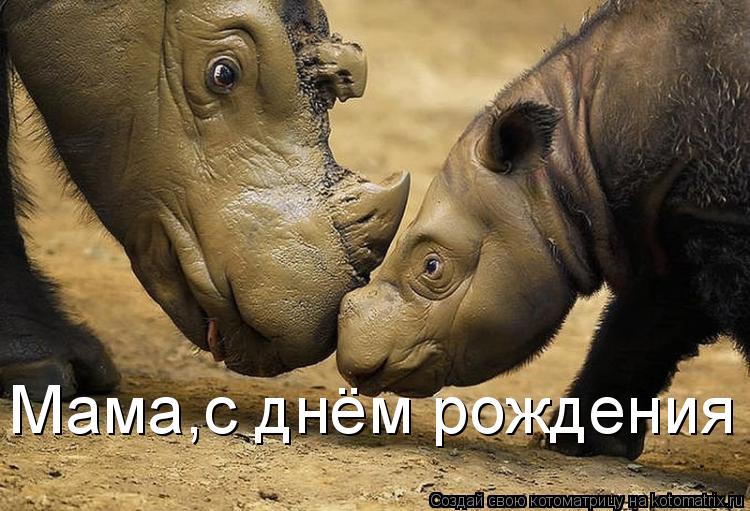 Мама,с днём рождения... Котоматрица: Мама,с днём рождения