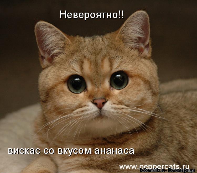 Котоматрица: Невероятно!! вискас со вкусом ананаса