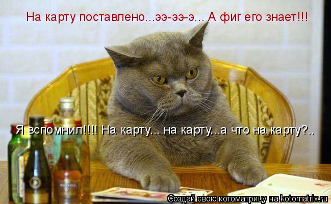 Котоматрица: На карту поставлено...ээ-ээ-э... А фиг его знает!!! Я вспомнил!!!! На карту... на карту...а что на карту?..