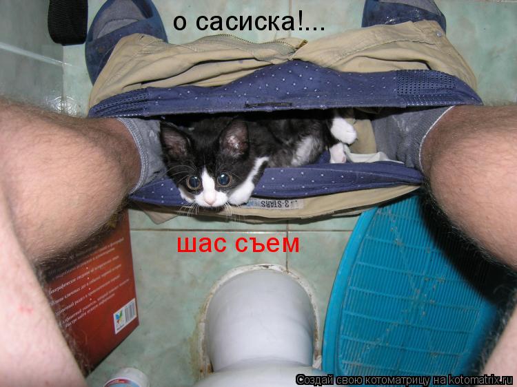 Котоматрица: о сасиска!... шас съем