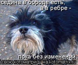 седина в бороде есть, а в ребре - пока без изменений.... Котоматрица: седина в бороде есть, а в ребре - пока без изменений.