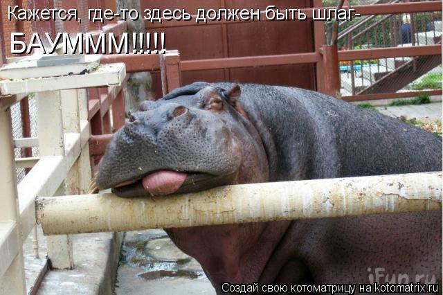 Котоматрица: Кажется, где-то здесь должен быть шлаг- БАУМММ!!!!!