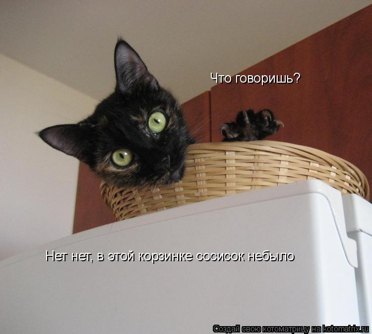 Что говоришь? Нет нет, в этой корзинке сосисок небыло... Котоматрица: Что говоришь? Нет нет, в этой корзинке сосисок небыло