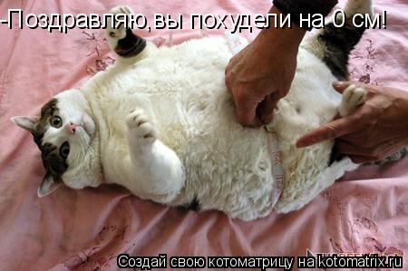 Котоматрица: -Поздравляю,вы похудели на 0 см!