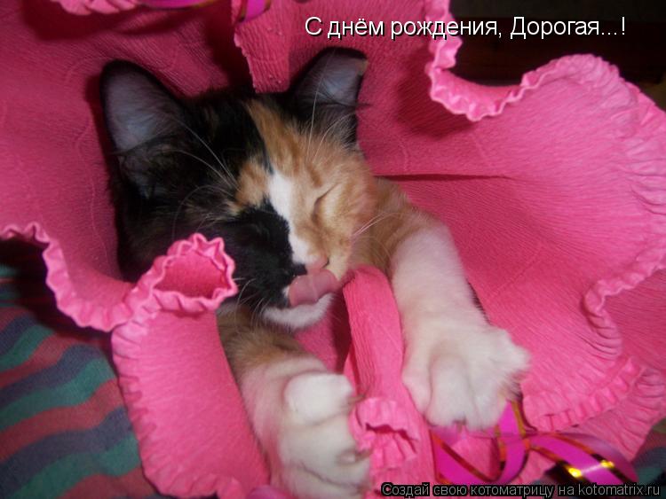 C днём рождения, Дорогая...!... Котоматрица: C днём рождения, Дорогая...!