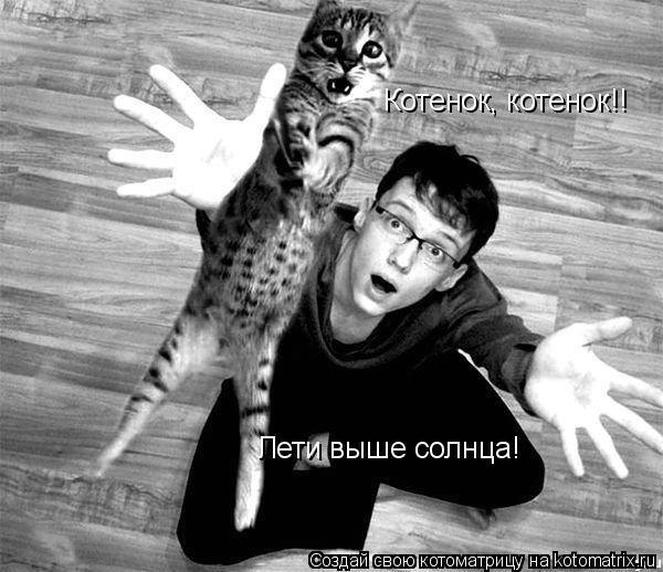 Котенок, котенок!! Лети выше солнца!... Котоматрица: Котенок, котенок!! Лети выше солнца!