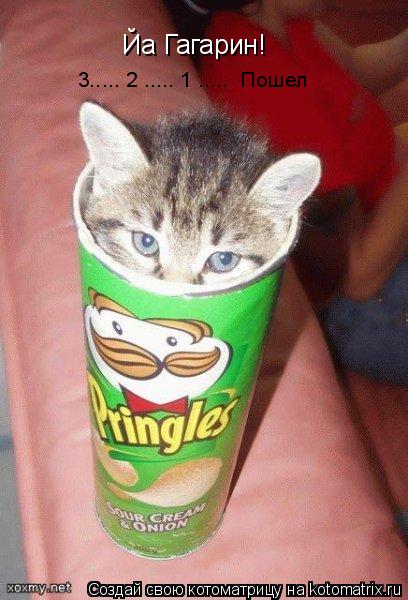 Йа Гагарин! 3..... 2 ..... 1 ..... Пошел... Котоматрица: Йа Гагарин! 3..... 2 ..... 1 ..... Пошел