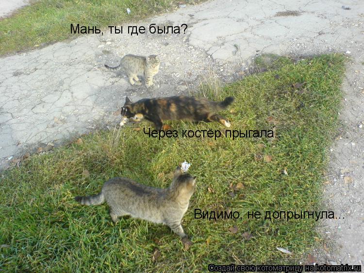 Мань, ты где была? Через костёр прыгала... Видимо, не допрыгнула...... Котоматрица: Мань, ты где была? Через костёр прыгала... Видимо, не допрыгнула...