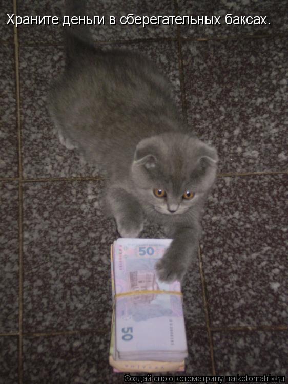 Храните деньги в сберегательных баксах.... Котоматрица: Храните деньги в сберегательных баксах.