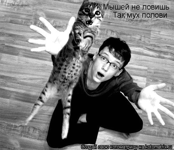 Мышей не ловишь Так мух полови... Котоматрица: Мышей не ловишь Так мух полови